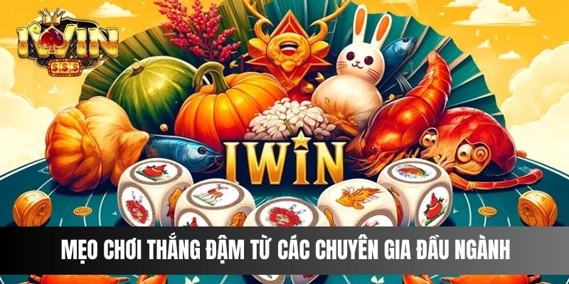 Mẹo chơi thắng đậm từ các chuyên gia đầu ngành 