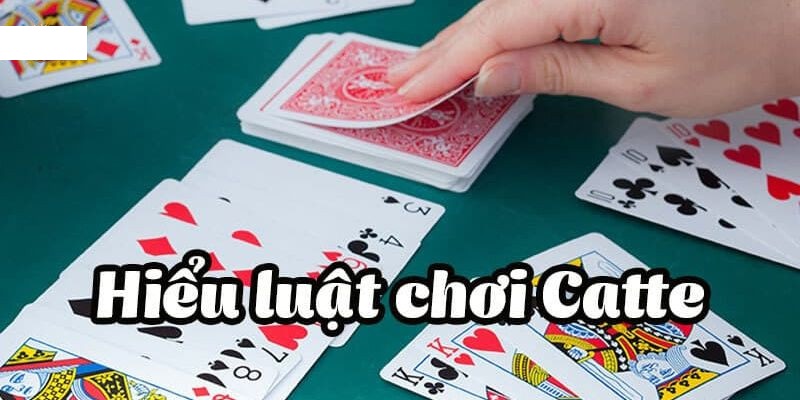 Lưu ngay các chiến thuật chơi catte dễ dàng để dành được chiến thắng